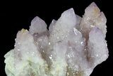 Cactus Quartz (Amethyst) Cluster - South Africa #80005-4